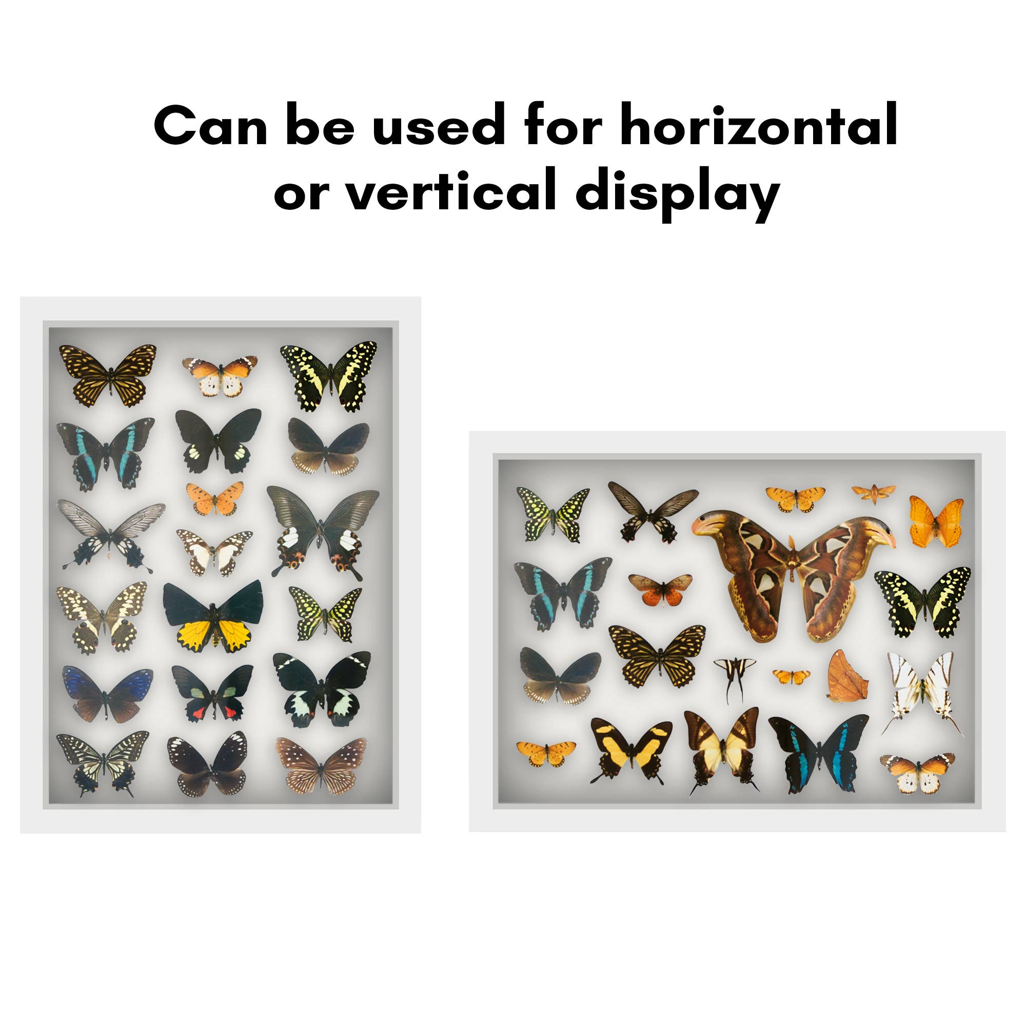 Americanflat - Wholesale Picture Frame - Americanflat Shadow Box Frame with Soft Felt Back34