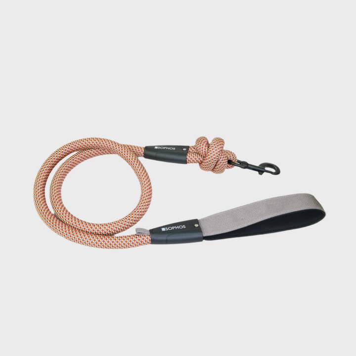 Farverigt multifarvet reb-hundeline for engroshandel hos Sophos