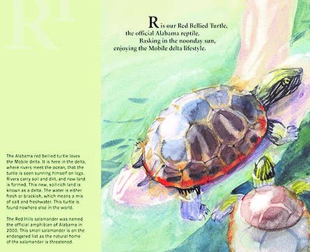 Sleeping Bear Press - Wholesale Preschool Book (3-5) - Y is for Yellowhammer: An Alabama Alphabet Picture Book5