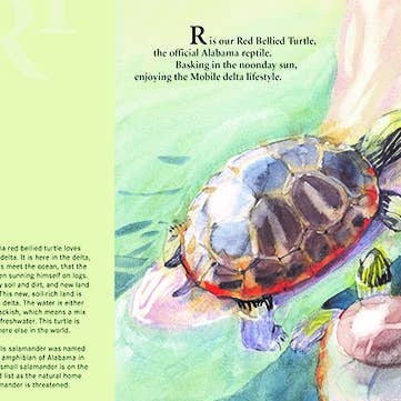 Sleeping Bear Press - Wholesale Preschool Book (3-5) - Y is for Yellowhammer: An Alabama Alphabet Picture Book5