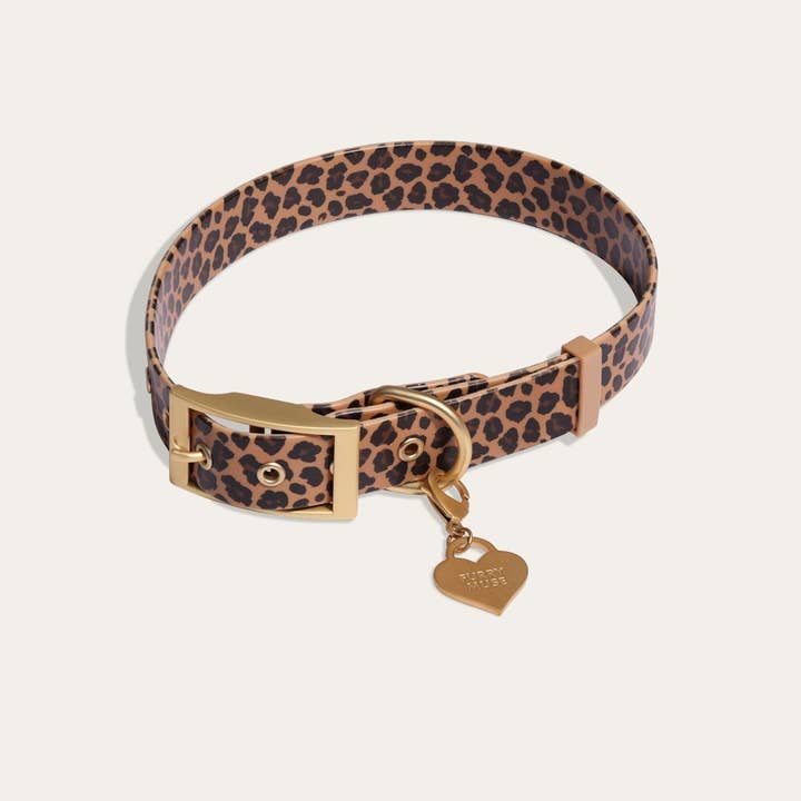 Wander! Waterproof Collar Leopard for wholesale on Faire1