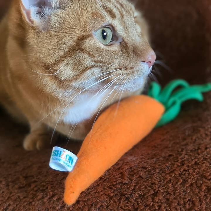 Carrot Kicker Toy for wholesale by Purrfashion