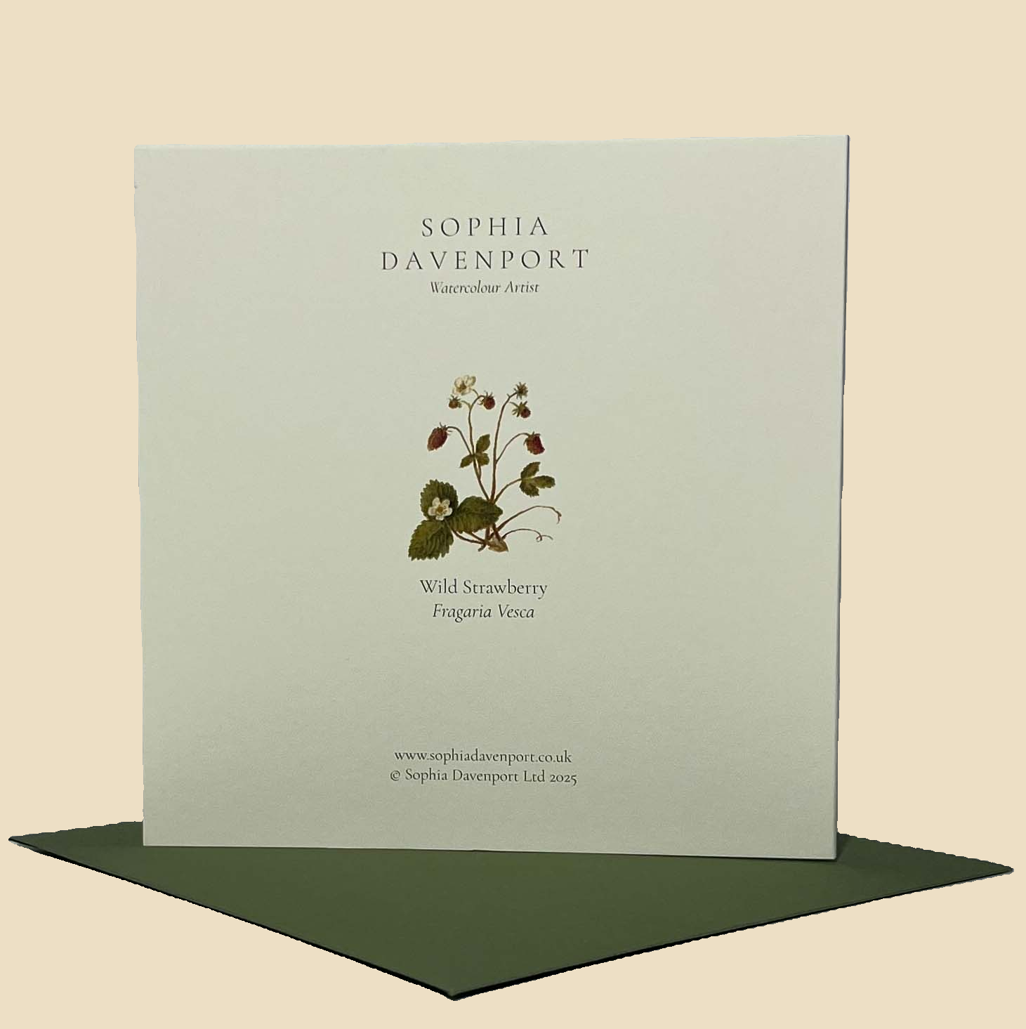 Sophia Davenport - Wholesale Everyday Greeting Card - Wildflower Greeting Cards and Notelets55