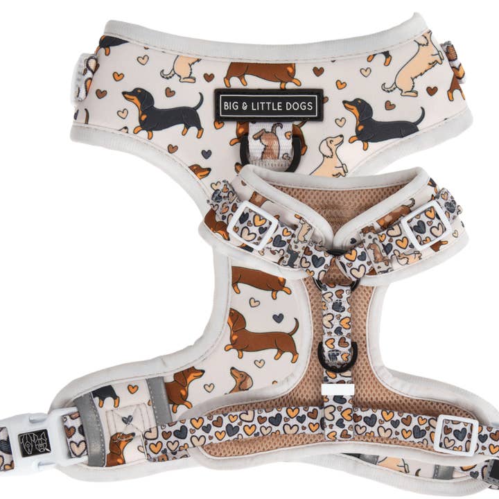 Big and Little Dogs – wholesale Sele - Hund – JUSTERBAR HUNDSELE: Dashie Lovers