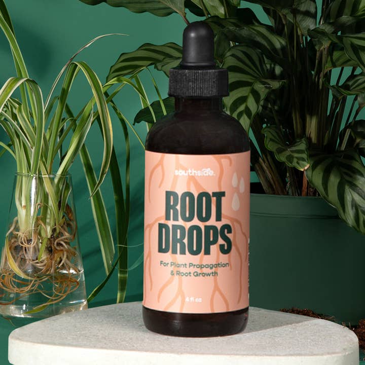 Root Drops - For Propagations & Repotting for wholesale by Southside.