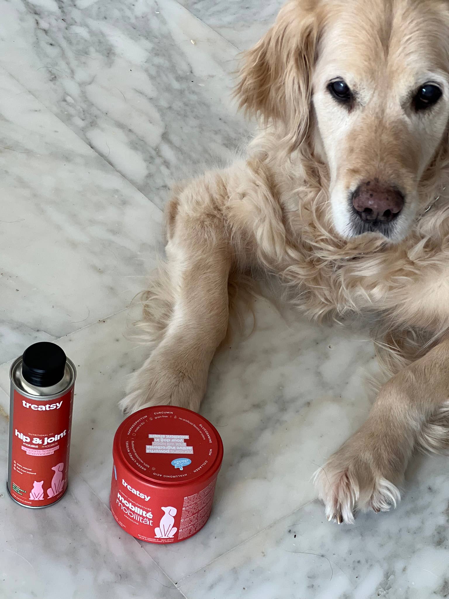 Treatsy - Vente Compléments alimentaires – chien - Complément pour hanches et articulations pour chiens | Recommandé par vétérinaires | Poulet10