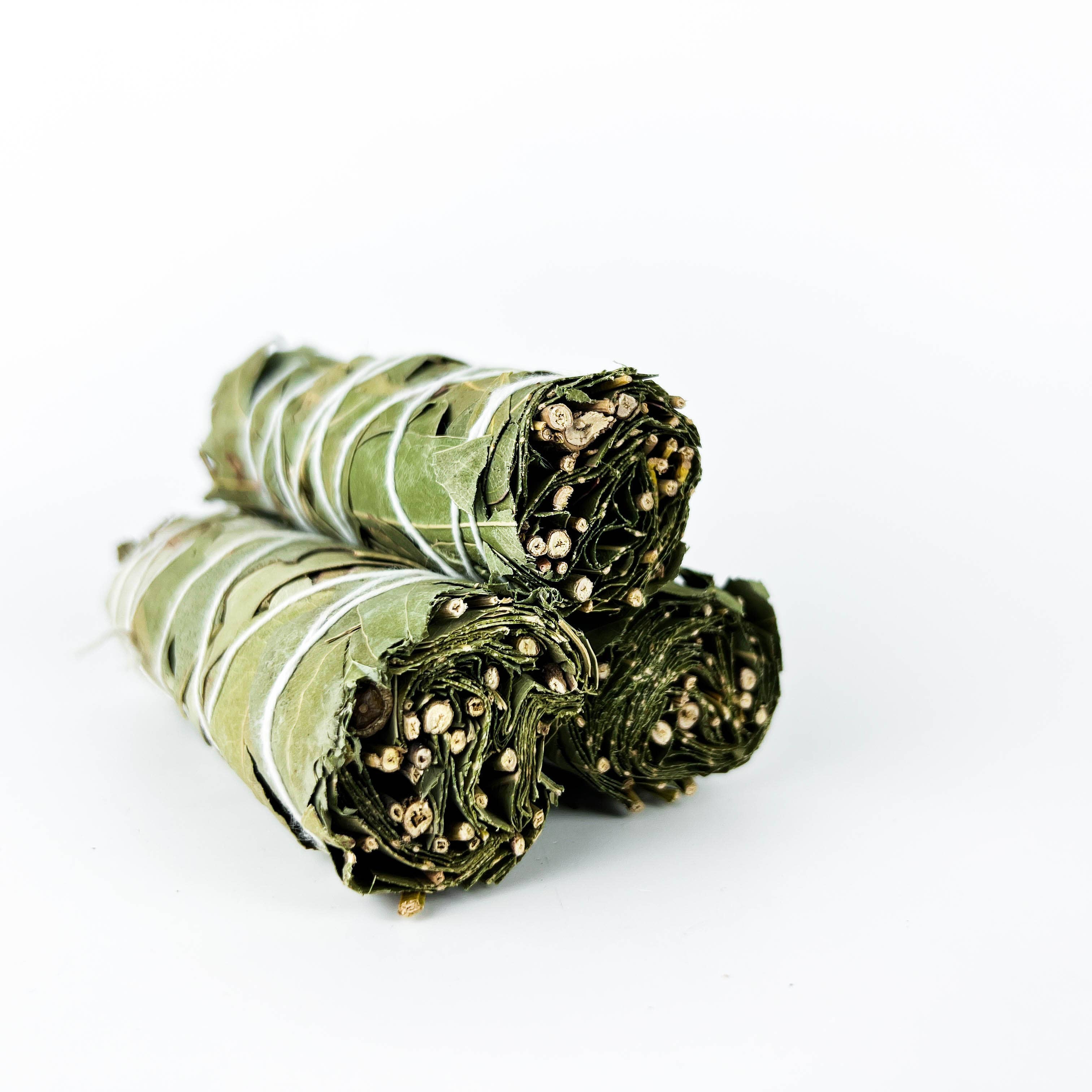 GREENROOTS USA LLC - Wholesale Smudge Stick - Eucalyptus Smudge Stick 4" Bundle For Ceremony, Meditation7