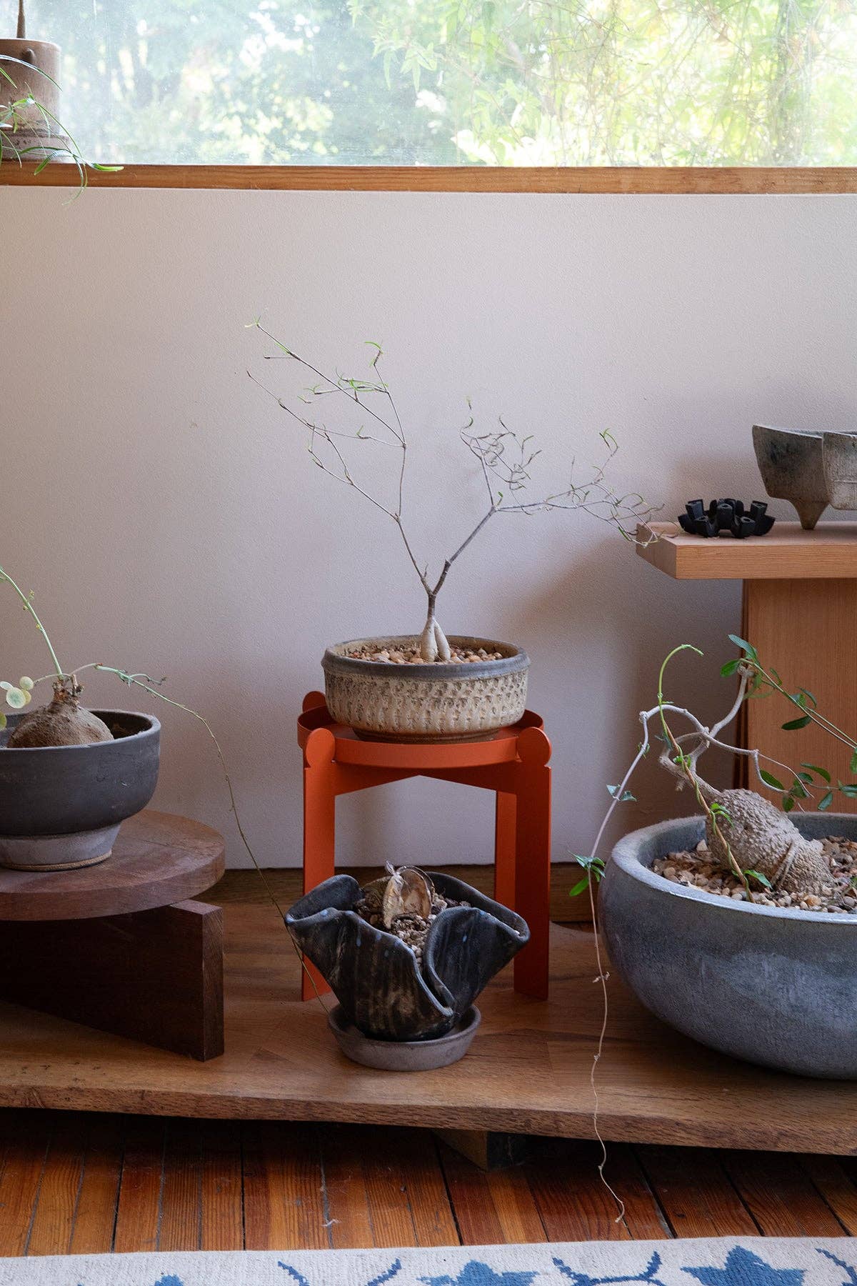 Upton - Wholesale Plant Pot Stand - PALLA - Burnt Orange | Plant Stand2