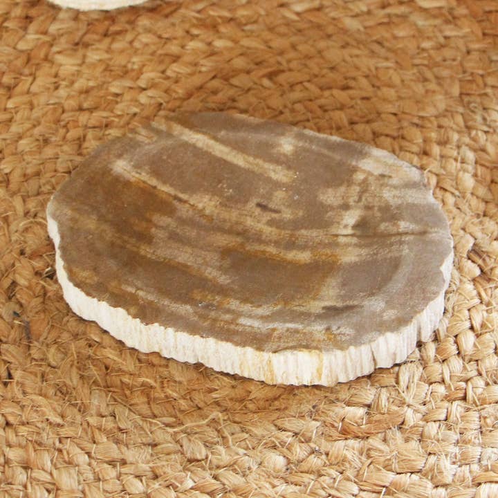 Portasapone in legno pietrificato - marrone per la vendita all'ingrosso da parte di Bamboon