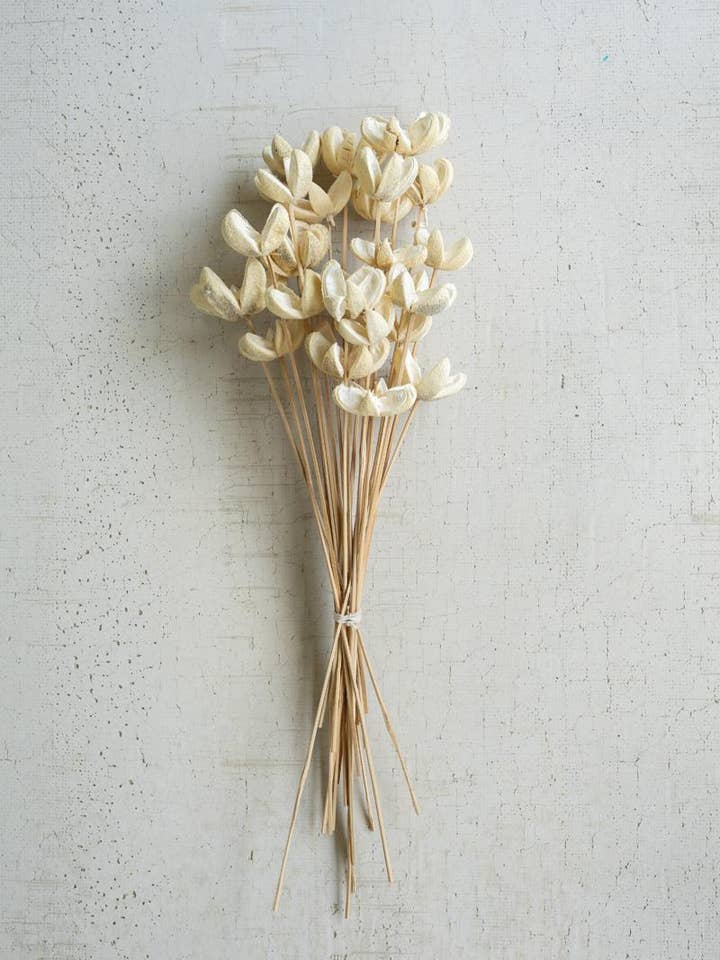 BUNDLE OF 24 BLEACHED BULLET FLOWERS ON STEMS for wholesale by Kalalou