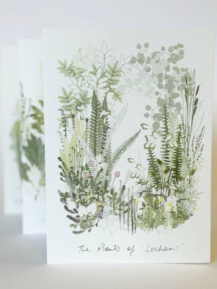 'Lochan' Print Concertina Book for wholesale by Amanda Ross