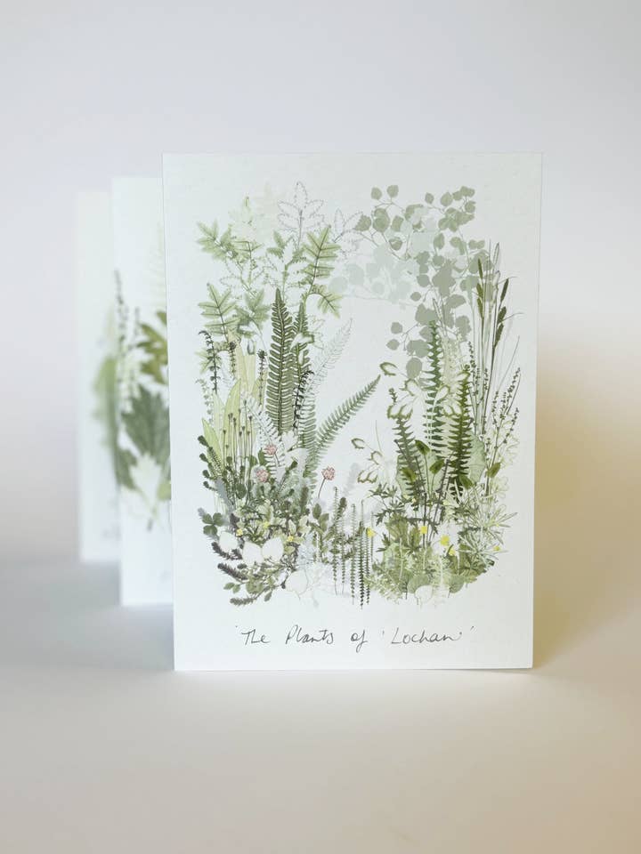 'Lochan' Tryk Concertina-bog for engroshandel hos Amanda Ross