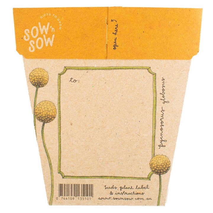 Sow 'n Sow - Wholesale Plant Seeds - Billy Buttons Gift of Seeds (Australia Only)
