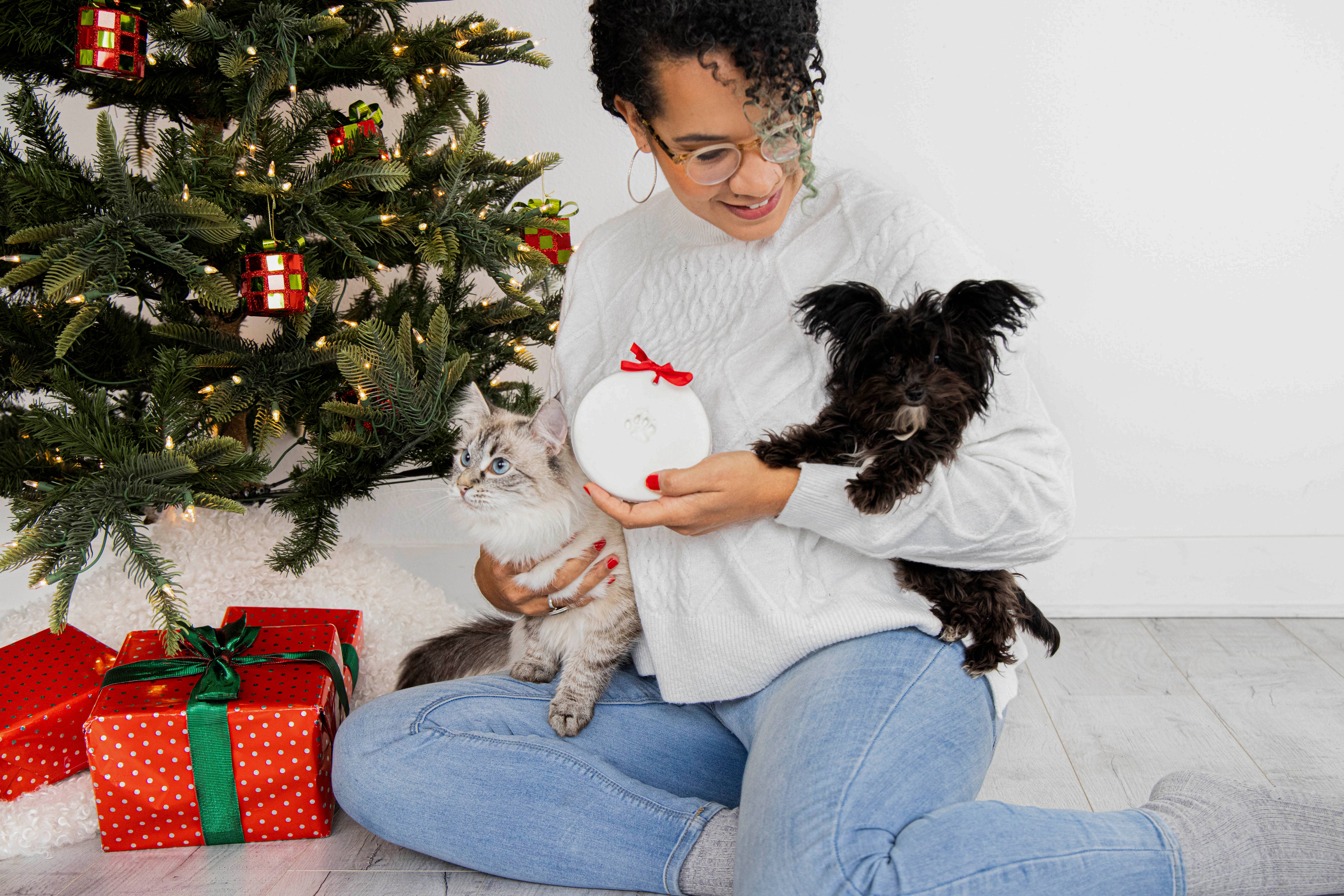 Pearhead - Wholesale DIY Craft Kit - Holiday Pawprints Christmas Ornament Kit, 2 Pack6