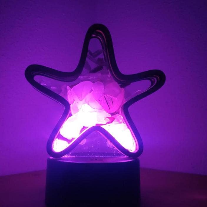 Sea Glass Displays - Vendita all'ingrosso Espositori - Espositore Shadowbox in vetro Starfish Sea 4 stili multicolore3