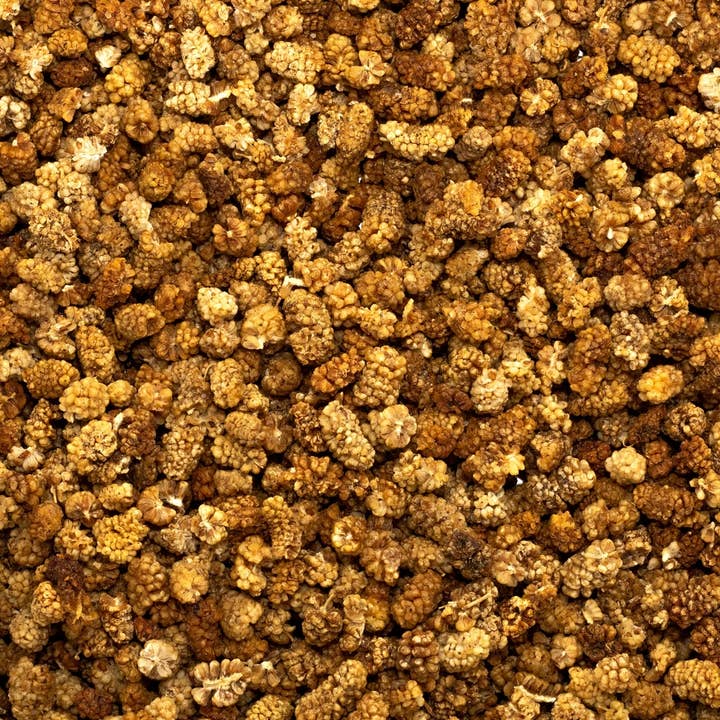 Golden Nuts - Wholesale Dried/Dehydrated Fruit - Dried White Mulberry2