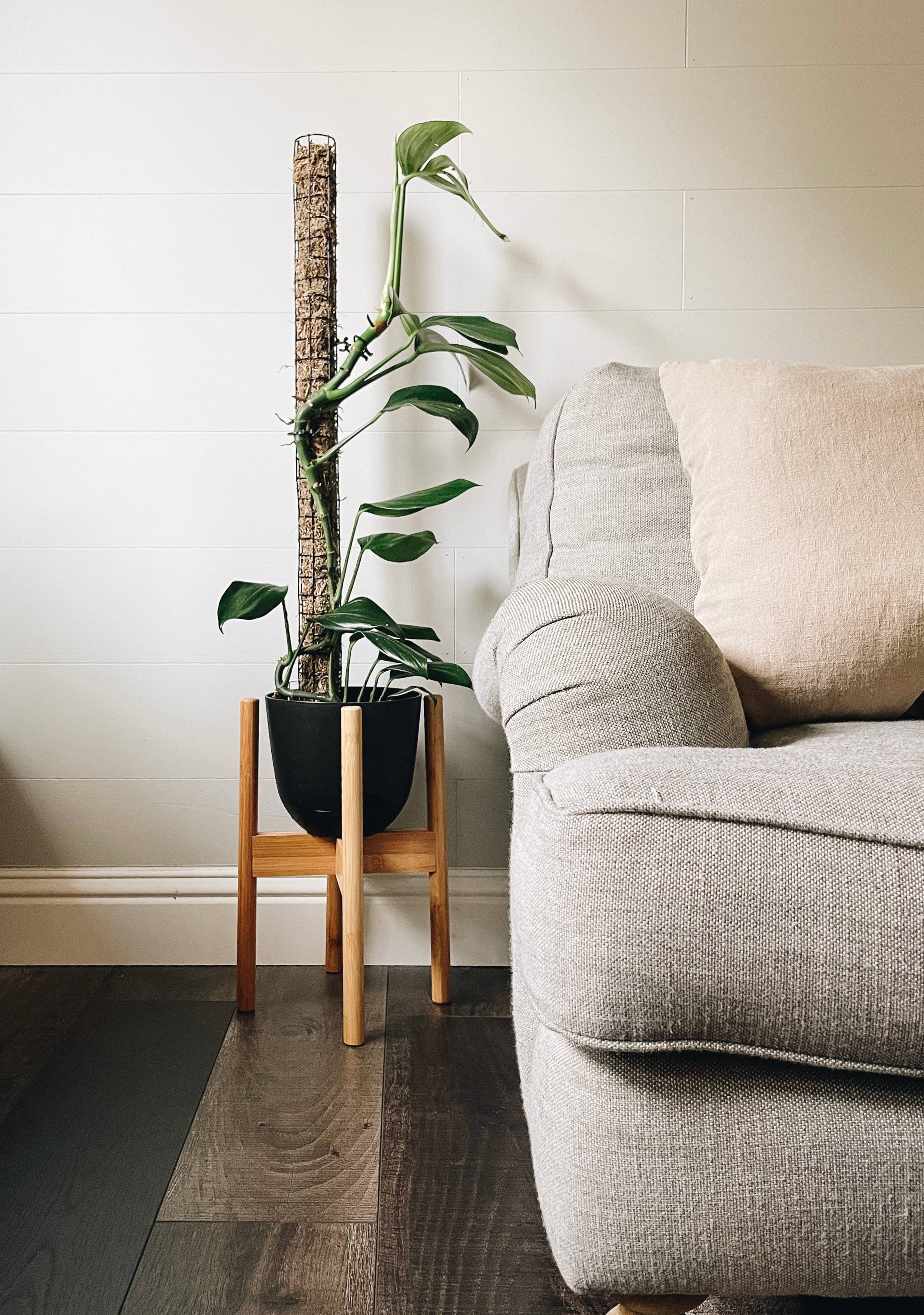 The Lush Studio – wholesale Trellis – Mossi-Pole | Sphagnum Moss Pole1