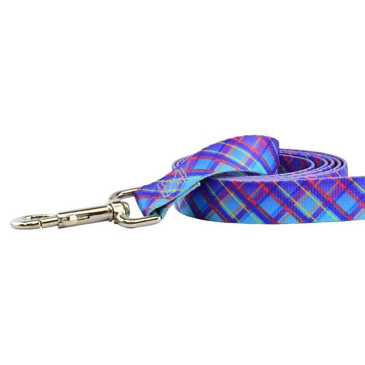 EarthStyle Twilight Glow Dog Leash for wholesale by 2 Hounds Design