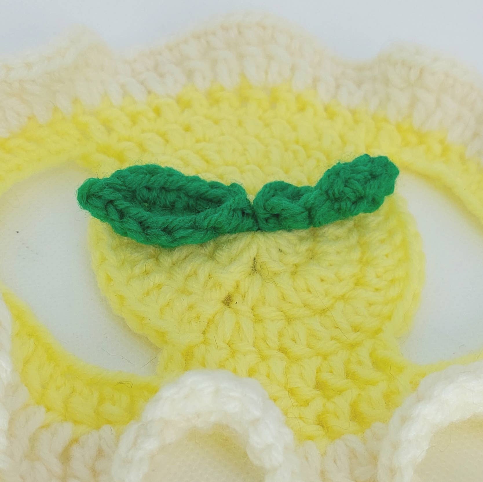 Glitter Ghost Clothing and Accessories - Vente Chapeau – chien - Chapeau citron au crochet - Bonnet pour chat - Bonnet pour animal de compagnie11