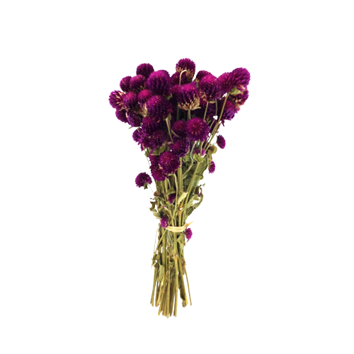 Concari.flores Preservadas - Wholesale Dried/Pressed Flowers - RAMO PERPETUINA SECA1