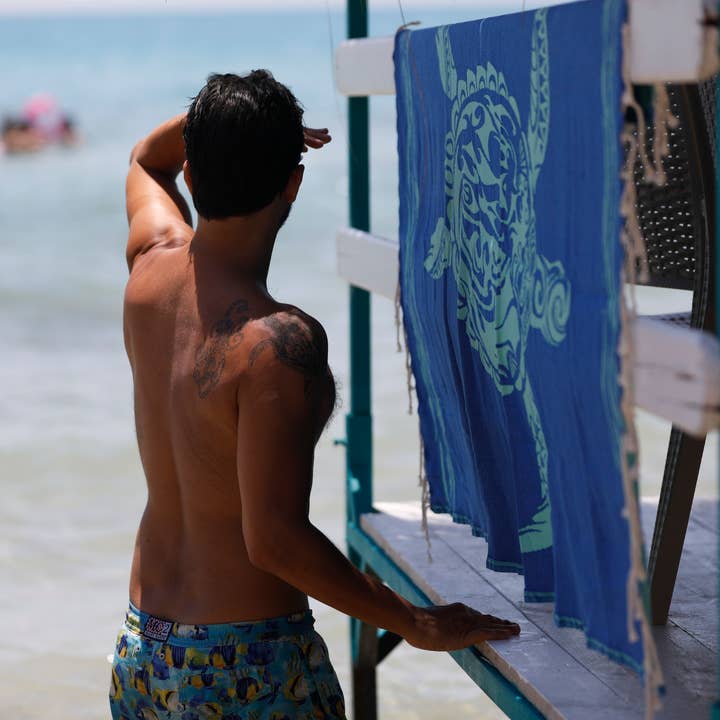 TURTLE & MERMAID 1mx2m vändbar Fouta strandhandduk för wholesale av Pink Manta By Le Comptoir Paris