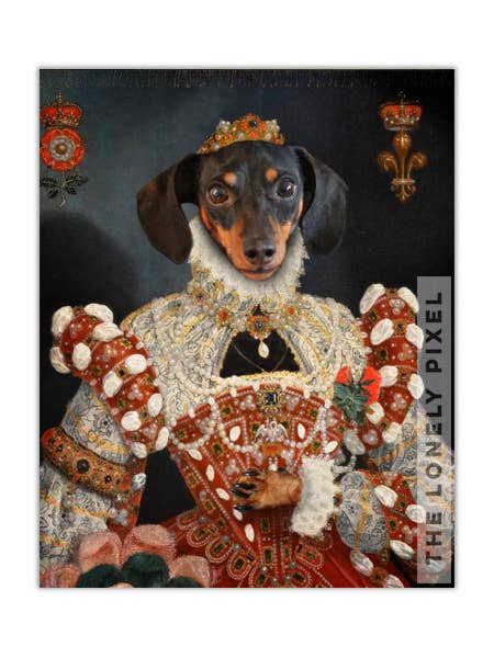 Impression d'art photographique Queen Dixie - Teckel 8 x 10 pour la vente par The Lonely Pixel