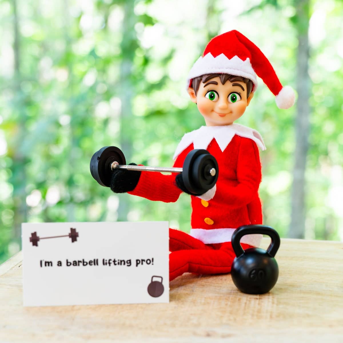 Crafty Holiday Helper - Wholesale Christmas Decoration - 2023 Christmas Elf Adventure15