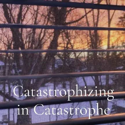 Books by splitShops - Wholesale Book - Adult - Catastrophizing in Catastrophe: Poems - Paperback