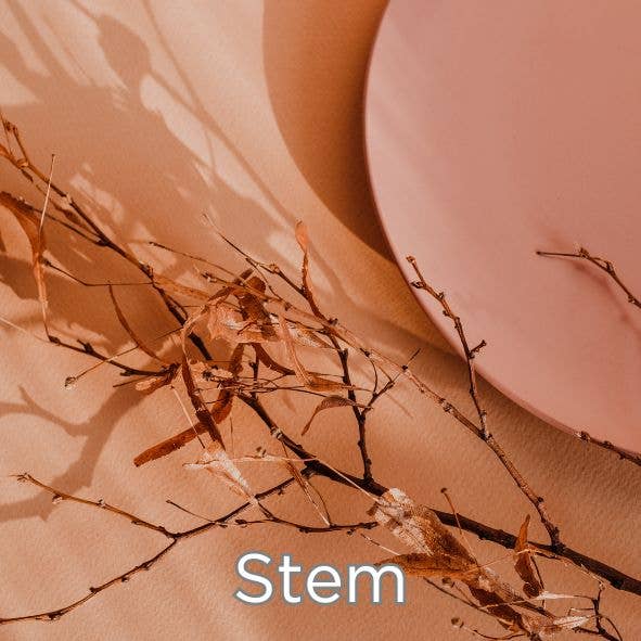 Clothsco - Wholesale Cleaning cloth - Microfibre Detailing cloth - Beauty" - Stem2