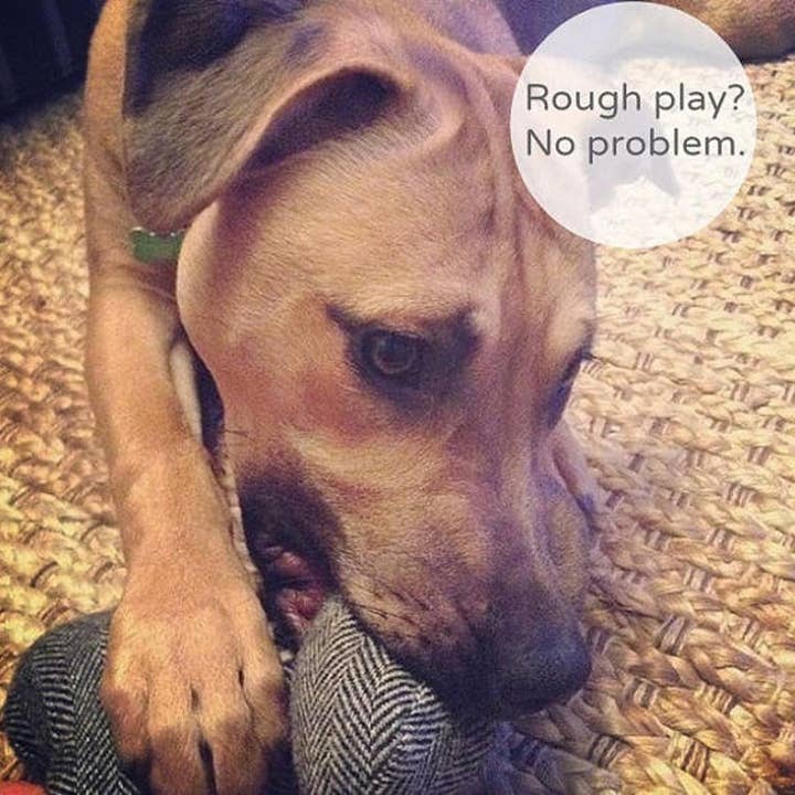 Thread and Paw – Engroshandel Tøjdyr - Hund – * BRUGERDEFINERET BRODERI* Tweed hundeletøj