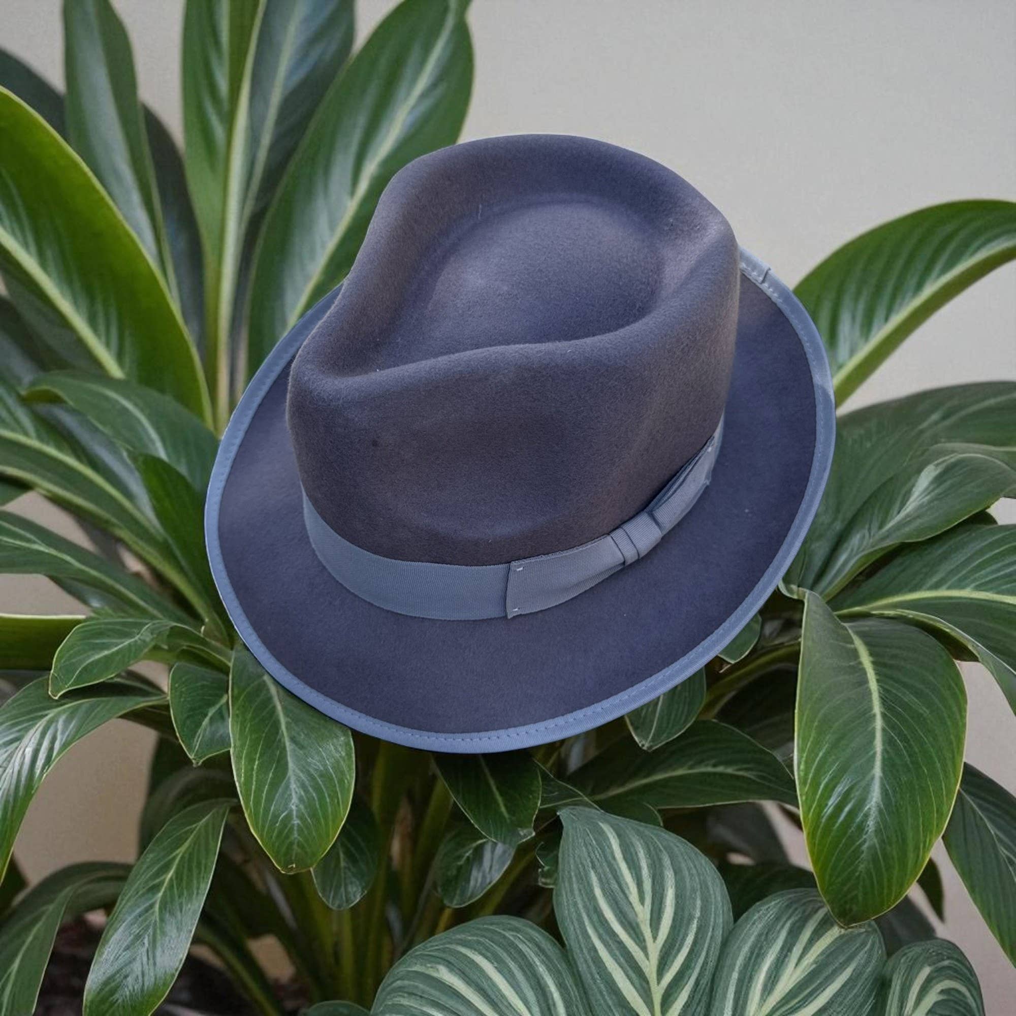 One and Only Accessories - Wholesale Fedora - Women's - Classic Wool Fedora with Ribbon Detail8