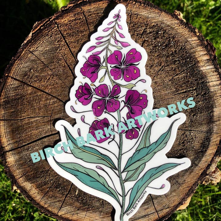 Fireweed Sticker for wholesale by Birch Bark Artworks