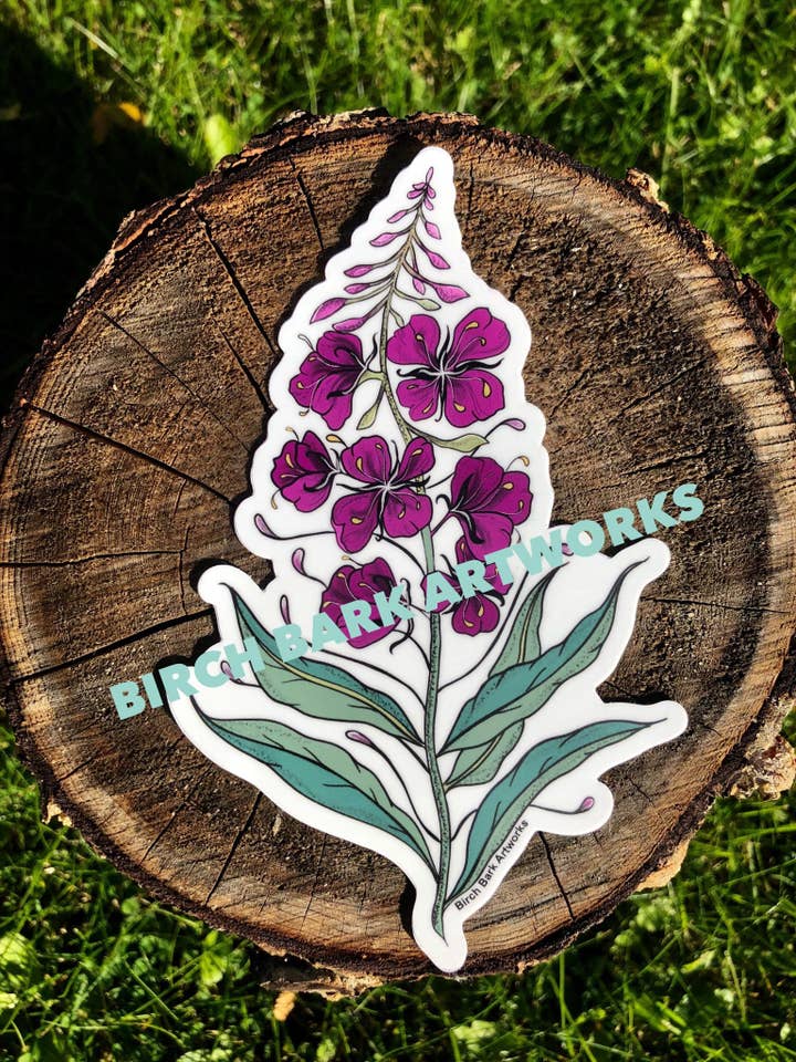 Fireweed Sticker for wholesale by Birch Bark Artworks