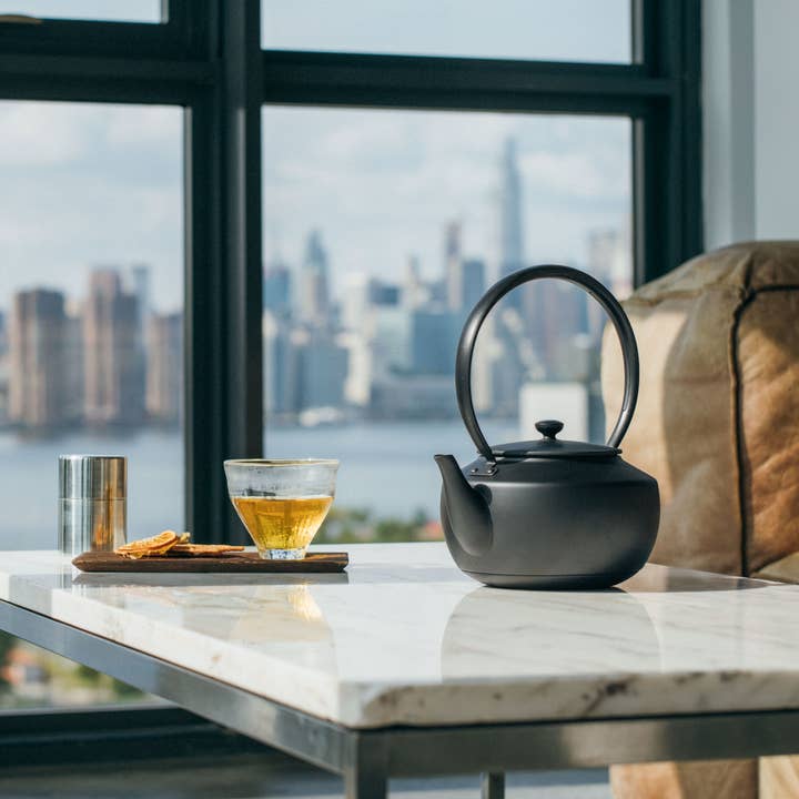 BALMUDA - Wholesale Electric Kettle - MoonKettle Electric Kettle with Temp Control 122°F - 212°F16