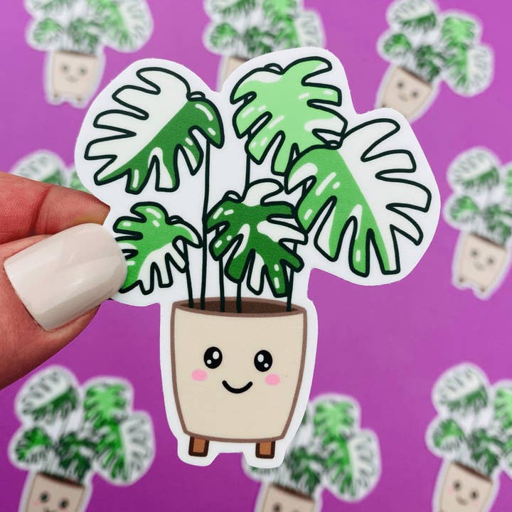 Autocollant pour plantes Monstera panachées, autocollant pour plantes rares pour la vente par Otto's Grotto