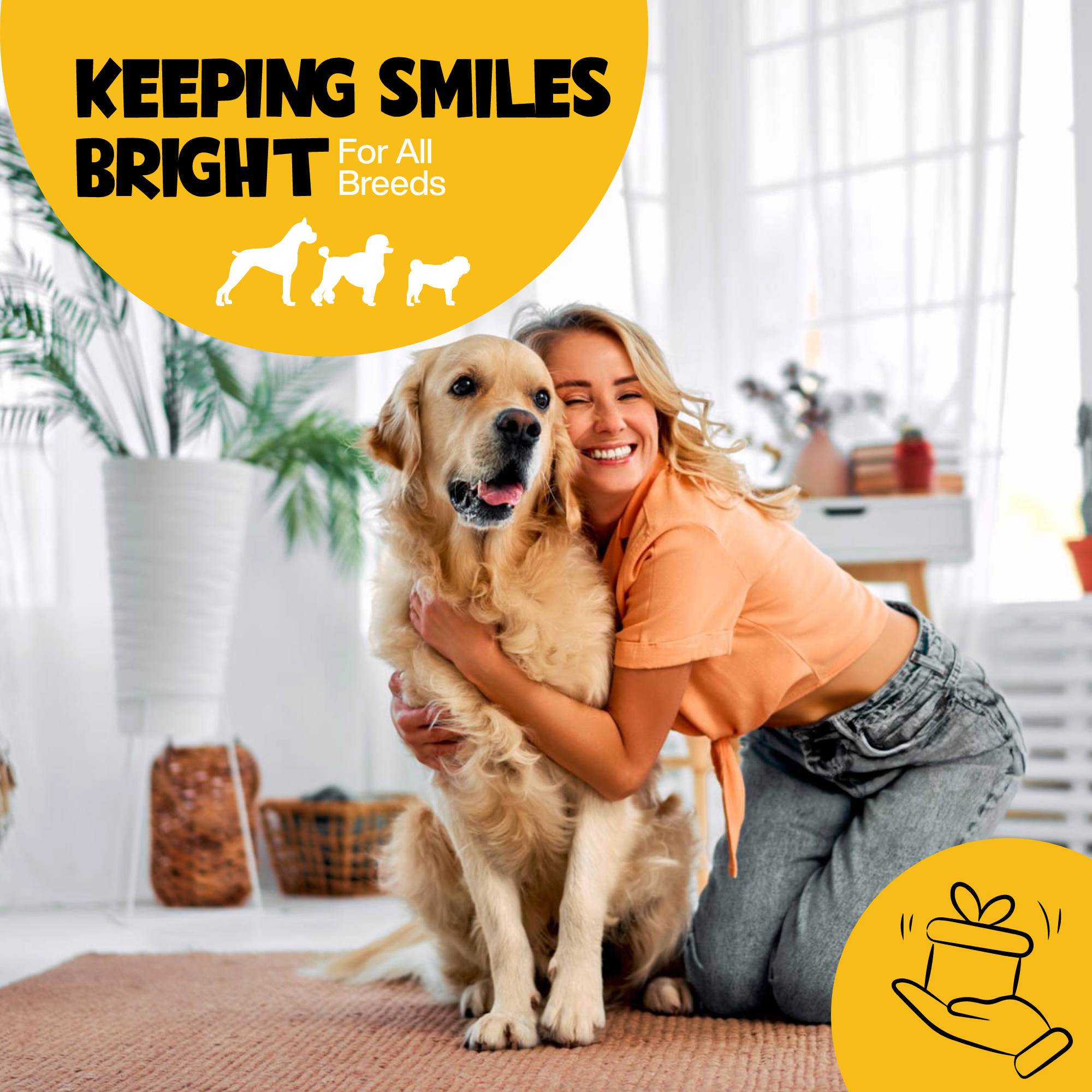 Roofus - Wholesale Pet Toothpaste - Dog - Roofus Dental Wipes | Peanut Butter | 60ct5