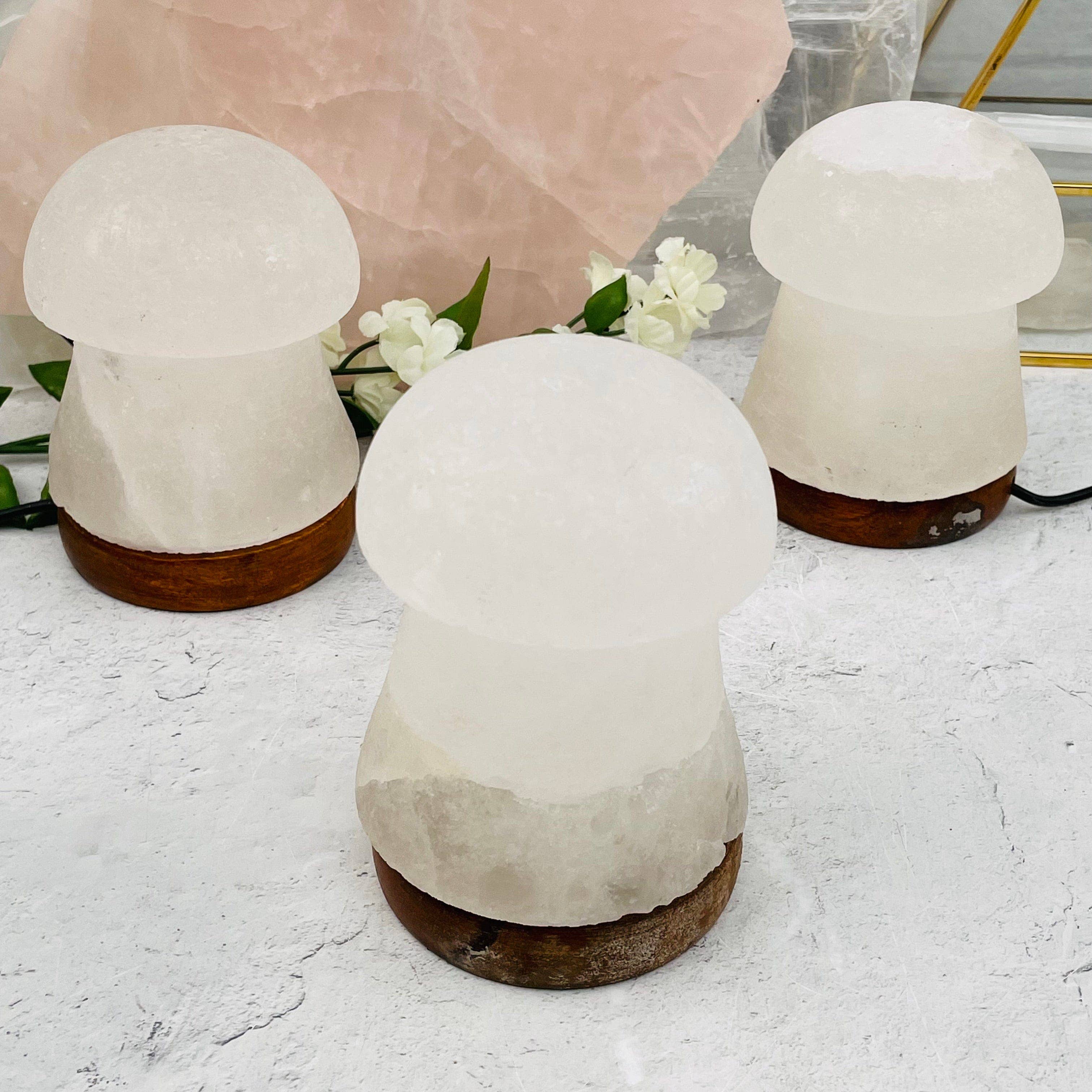Rock Paradise - Venta al por mayor Lámparas de sal - Lámpara de cristal en forma de hongo blanco salado del Himalaya, que cambia de color5