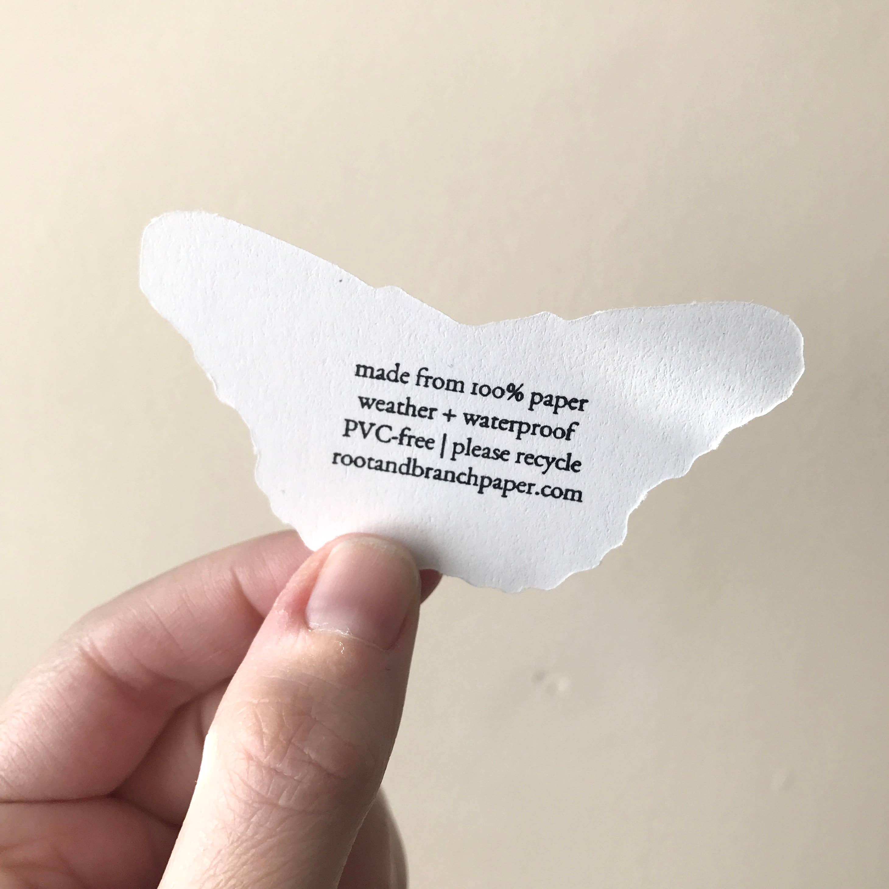 Root & Branch Paper Co. - Wholesale Sticker - Eastern Tiger Swallowtail Butterfly Sticker2