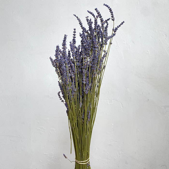 We Dried Our Best - Vendita all'ingrosso Fiori secchi/pressati - Lavanda naturale essiccata, profumata, 45 cm, 100 g