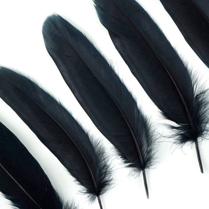 Zucker Feather Products - Wholesale Feathers - Bulk Goose Pallet Feathers 6-8 nch - 1/4 LB - Black3