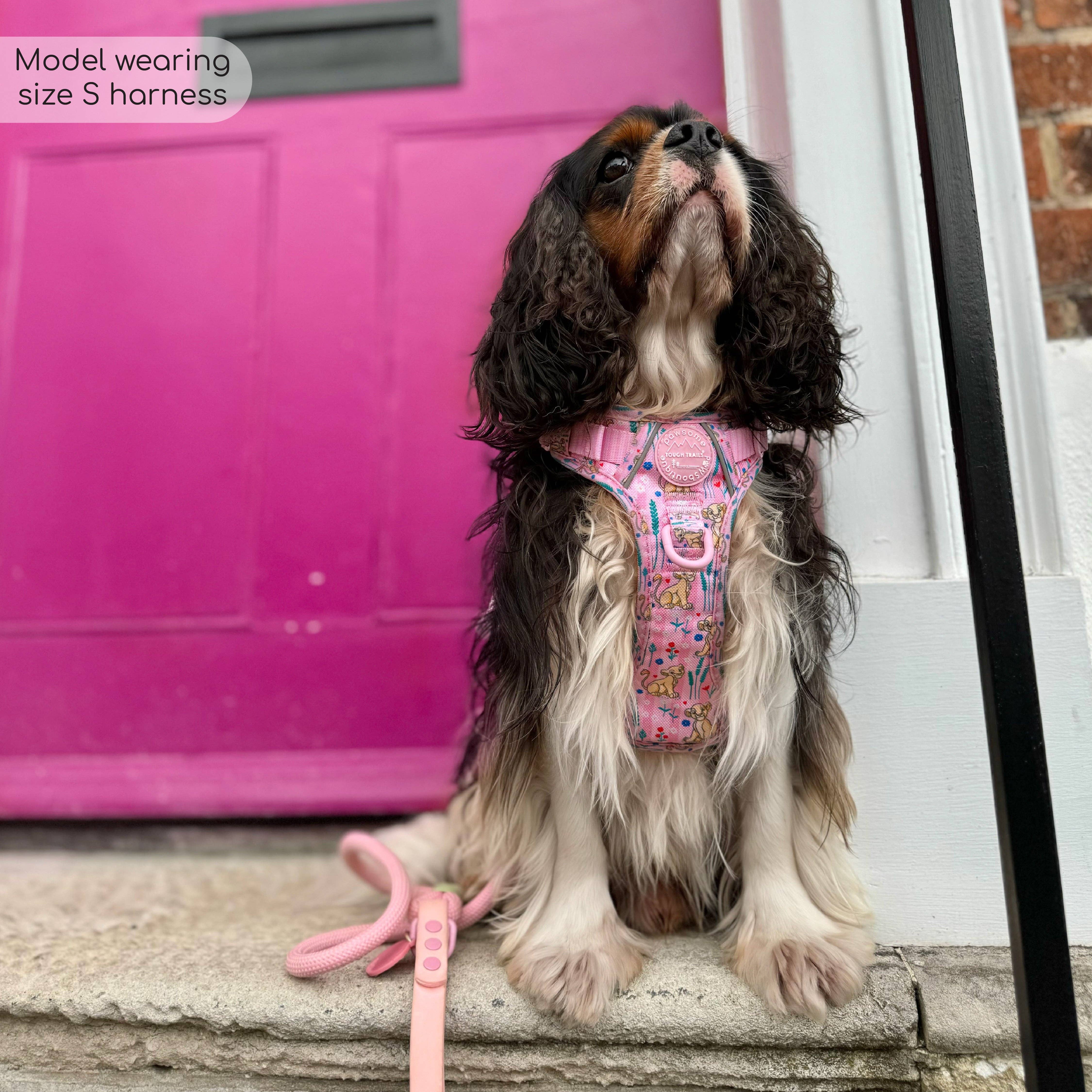 Pawsome Paws - Vendita all'ingrosso Pettorina - Cani - Imbracatura Disney© Tough Trails™ - Nala10