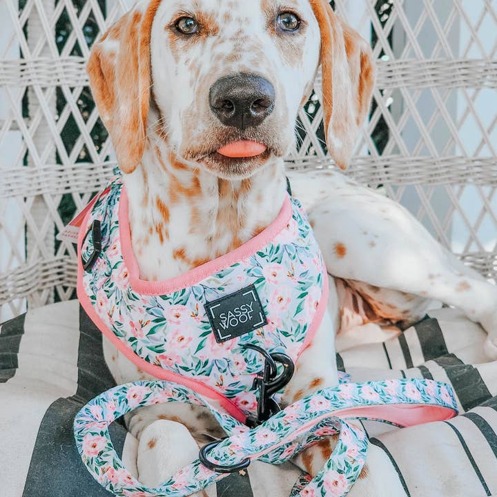 SASSY WOOF - Wholesale Pet Leash - Dog - Dog Leash - Magnolia7