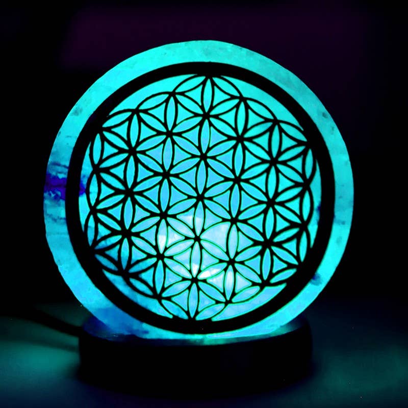 Ethike.eu – Großhandel Akzent-/Schreibtischleuchte – Flor Vida Himalaya-Salzlampen mit USB-Anschluss4