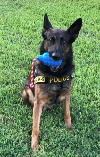 SodaPup Dog Toys – Großhandel Haustier-Kauspielzeug – Hund – USA-K9 Grenade - Kauspielzeug - Belohnungsspielzeug - Blau6