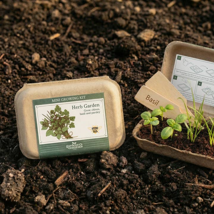 GARDENER'S ESSENTIALS - HERB GARDEN SEED KIT for wholesale by Sting in the Tail Ltd