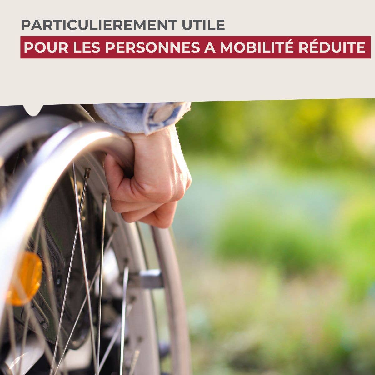 Zenker - Wholesale Kitchen Tool/Gadget - Fackelmann black aluminium gripper5