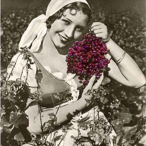 Impresión de Arte CA-1120 Campesina con Uvas, Nepenthe, California para venta al por mayor de Found Image Press