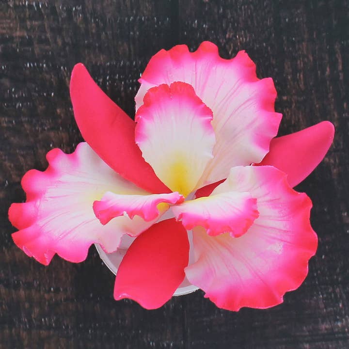 Global Sugar Art - Wholesale Cake/cupcake topper - Dutch Iris Sugar Cake Flower, Cake Topper by Global Sugar Art, Pink6