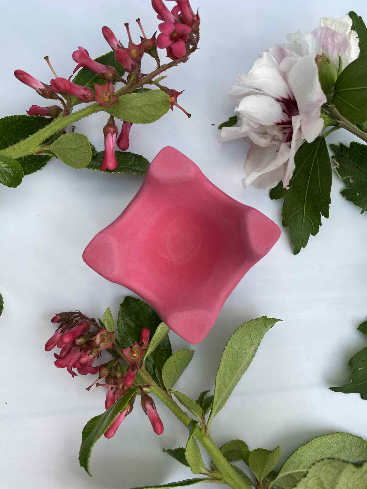 Little Lottie’s - Wholesale Egg cup/holder - Egg Cup – Colourful Breakfast Tableware