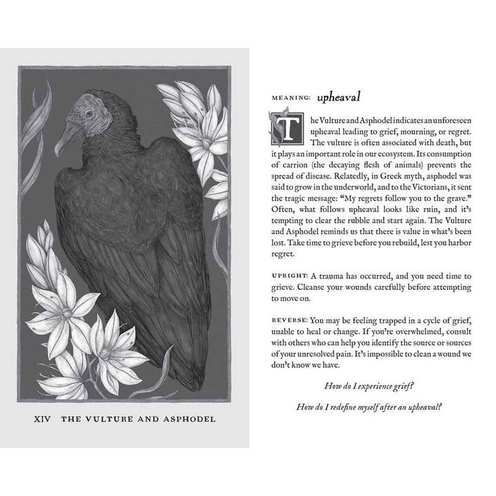 Simon & Schuster - Wholesale Book - Adult - Woodland Wardens by Jessica Roux